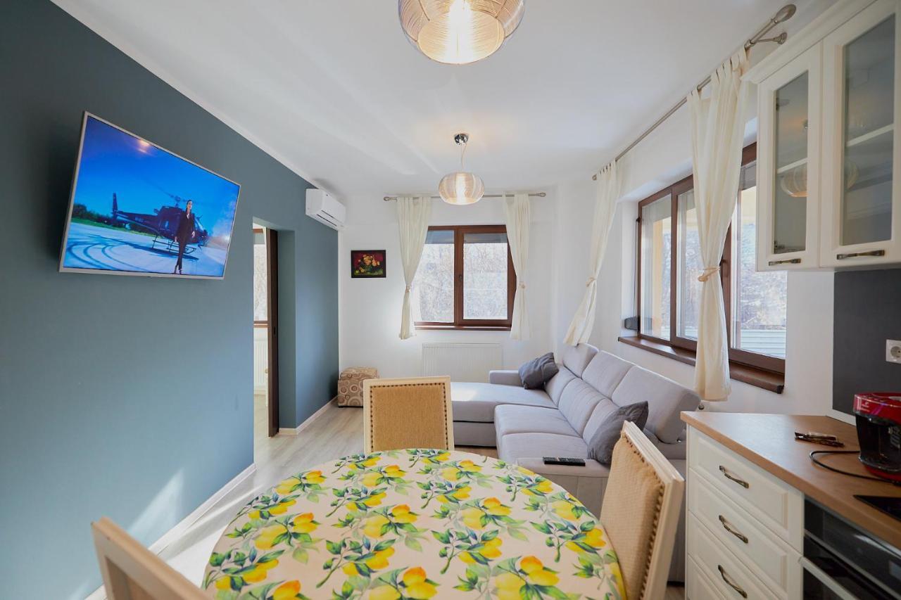 Alessandro Home 2 Luxury Centru Palas Mall Iasi Moldovei 30 Экстерьер фото