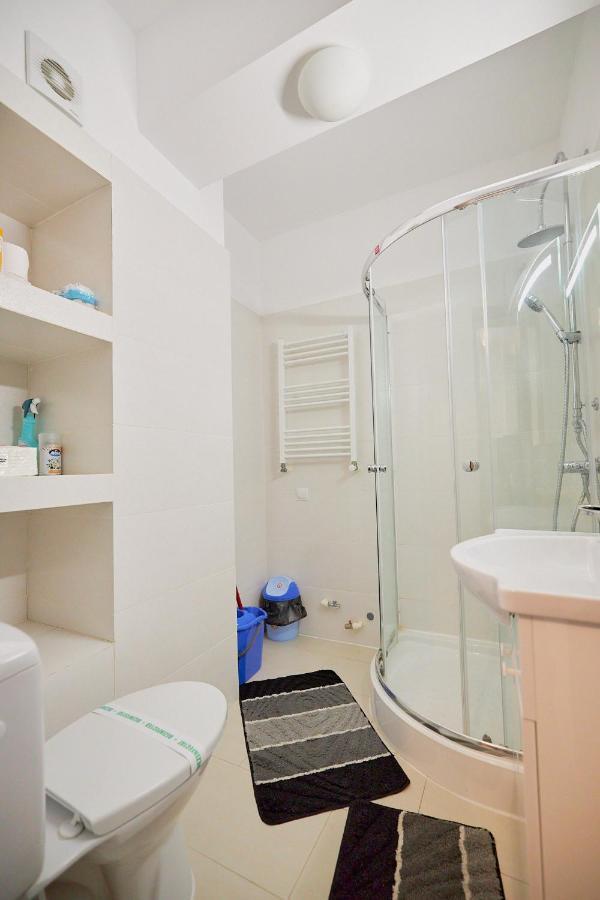 Alessandro Home 2 Luxury Centru Palas Mall Iasi Moldovei 30 Экстерьер фото